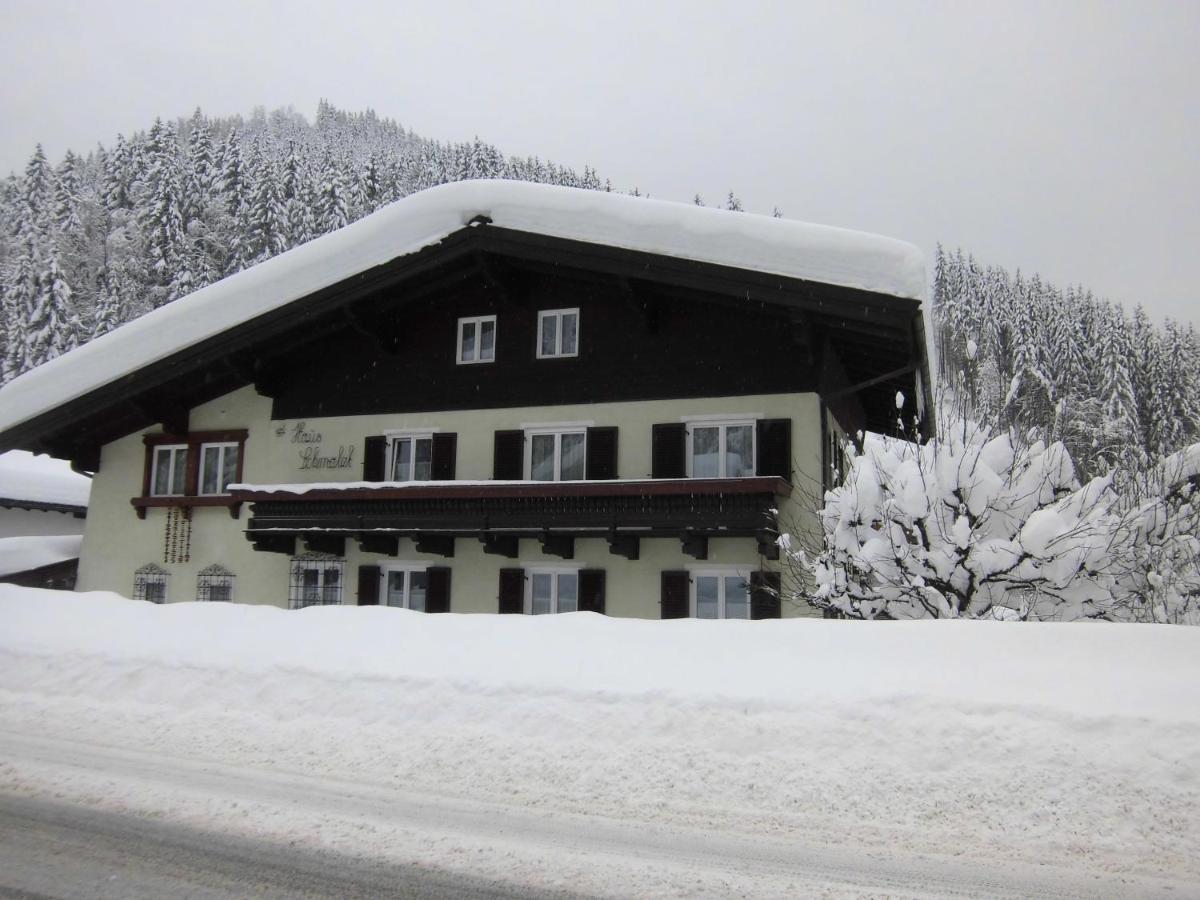 Appartements Haus Schmalzl Viehhofen Exteriér fotografie